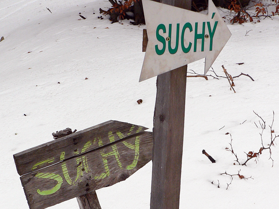 cez-suchy-po-zelenej-takmer-