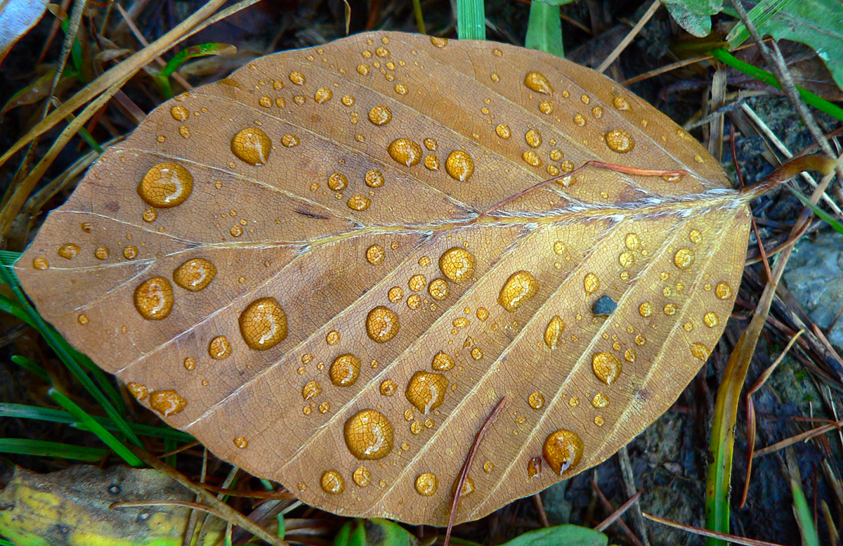 plosne-testovanie-lesnych-ciest-v-pohori-ziar-