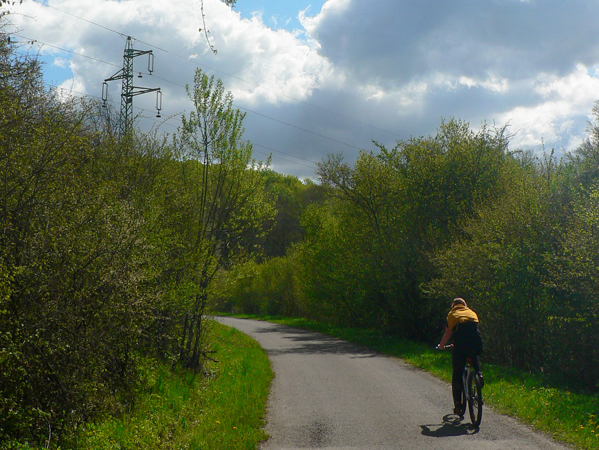 prievidzskym-lesoparkom-na-ltyri-chotare