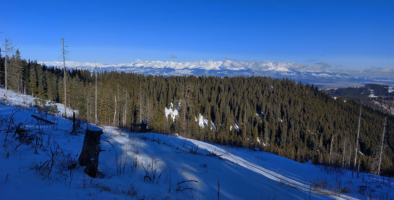 O chvíľu z rúbanísk výhľady doprava na Tatry, čím ďalej, tým krajšie. O_chvíľu_z_rúbanísk_výhľady_doprava_na_Tatry,_čím_ďalej,_tým_krajšie.