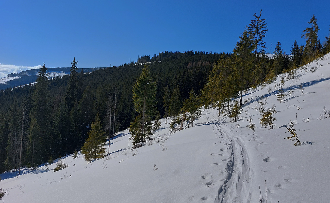 Nazad v stope, smer už správny, Kráľova hoľa vpredu. Nazad_v_stope,_smer_už_správny,_Kráľova_hoľa_vpredu.