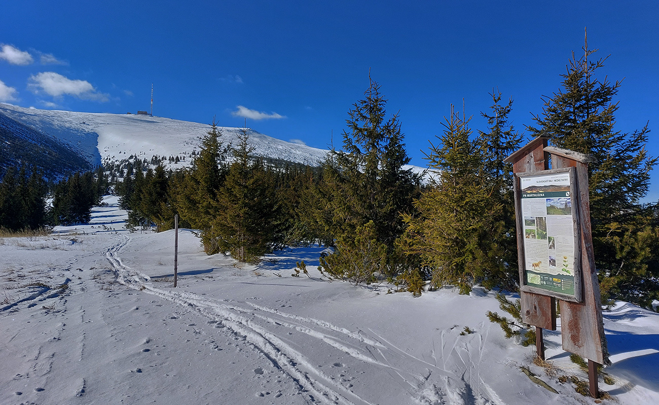 Od náučného panela už vidno dobre hranu žliabku, kade zlyžujem nazad. Od_náučného_panela_už_vidno_dobre_hranu_žliabku,_kade_zlyžujem_nazad.