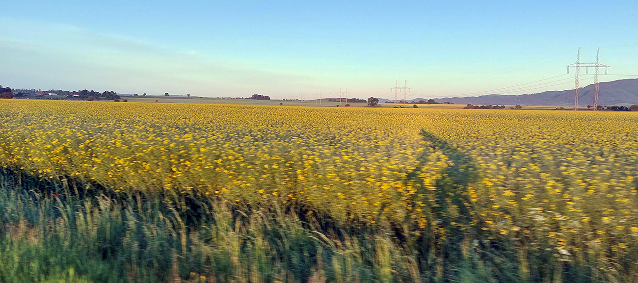 V_prvých_lúčoch_niekde_za_Príbovcami.