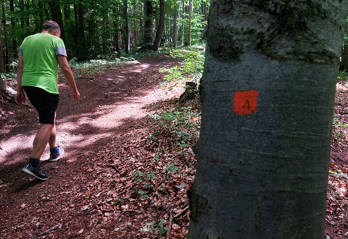 kantorska-dolina-okruh-po-oranzovych-stvorcekoch