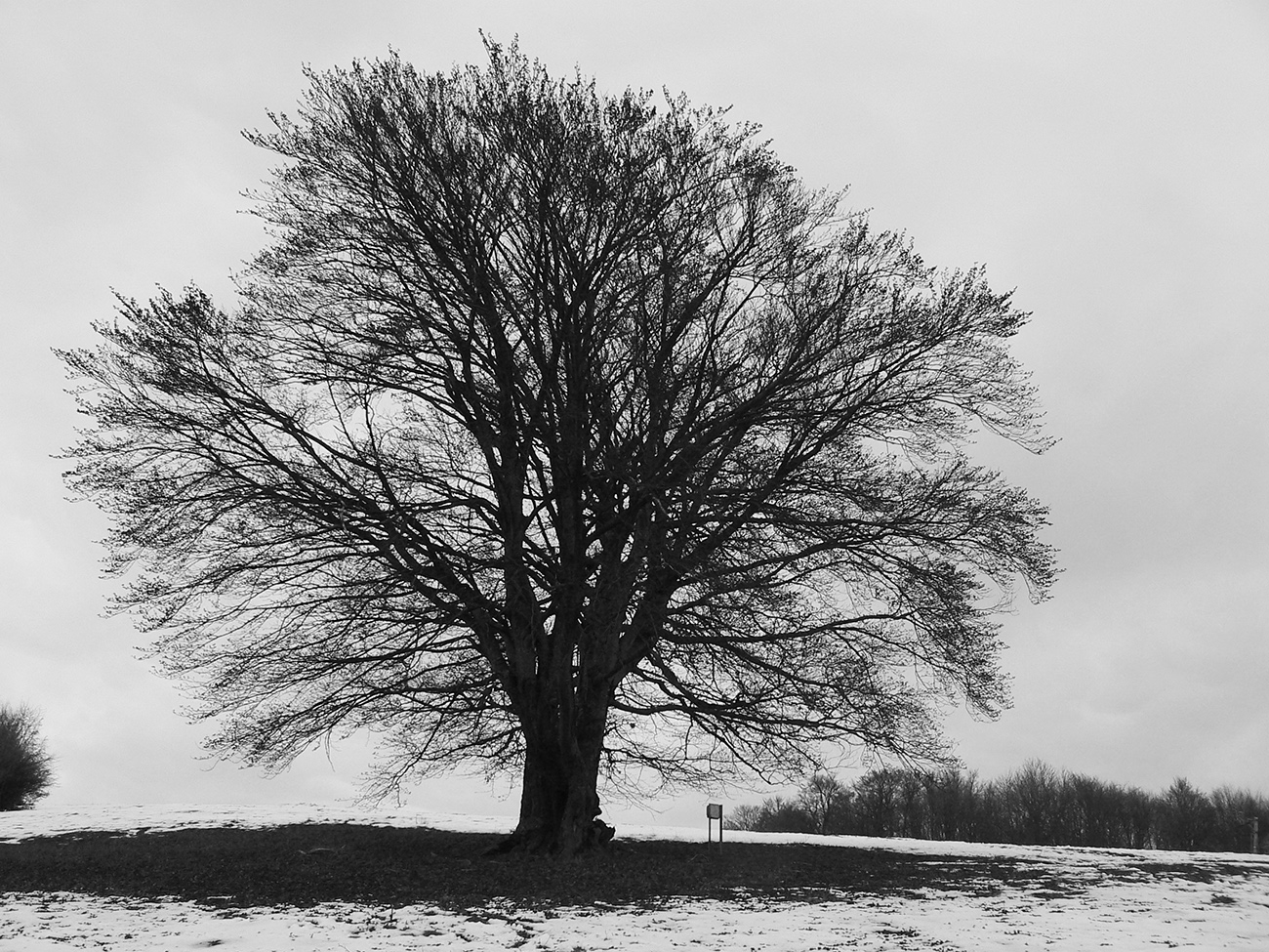 pansky-a-selciansky-diel-–-vyhliadky-nad-banskou-bystricou