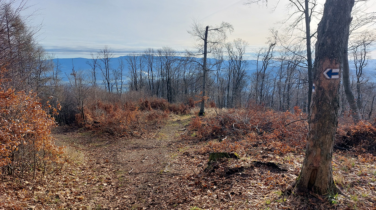 Len_o_kúsok_nižšie_by_práve_tu_mal_NCH_odbočiť_doprava,_len_značky_niet...