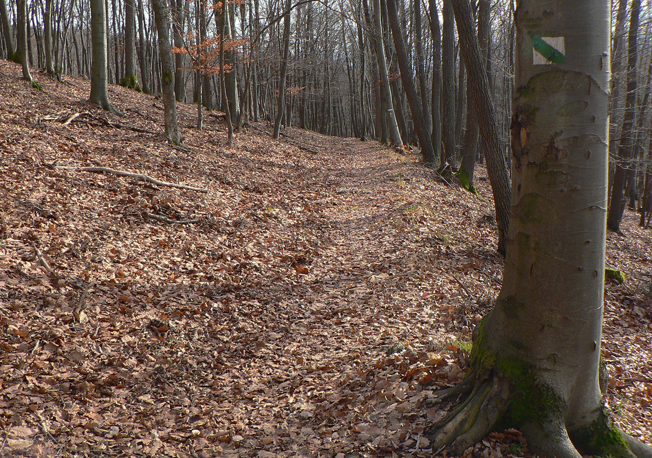 Od_studničky_je_to_už_pohodový_chodník.
