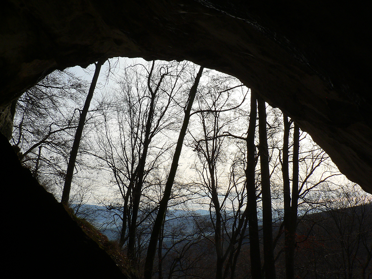 naucny-chodnik-frana-madvu-pod-rokosom