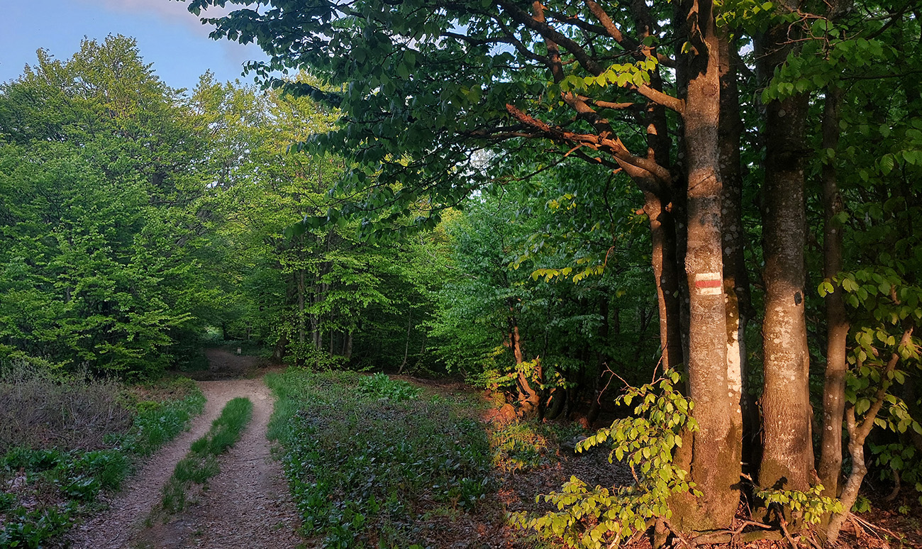 Farebný_podvečer_za_odmenu,_pod_Hrúbkami_(1186_m).