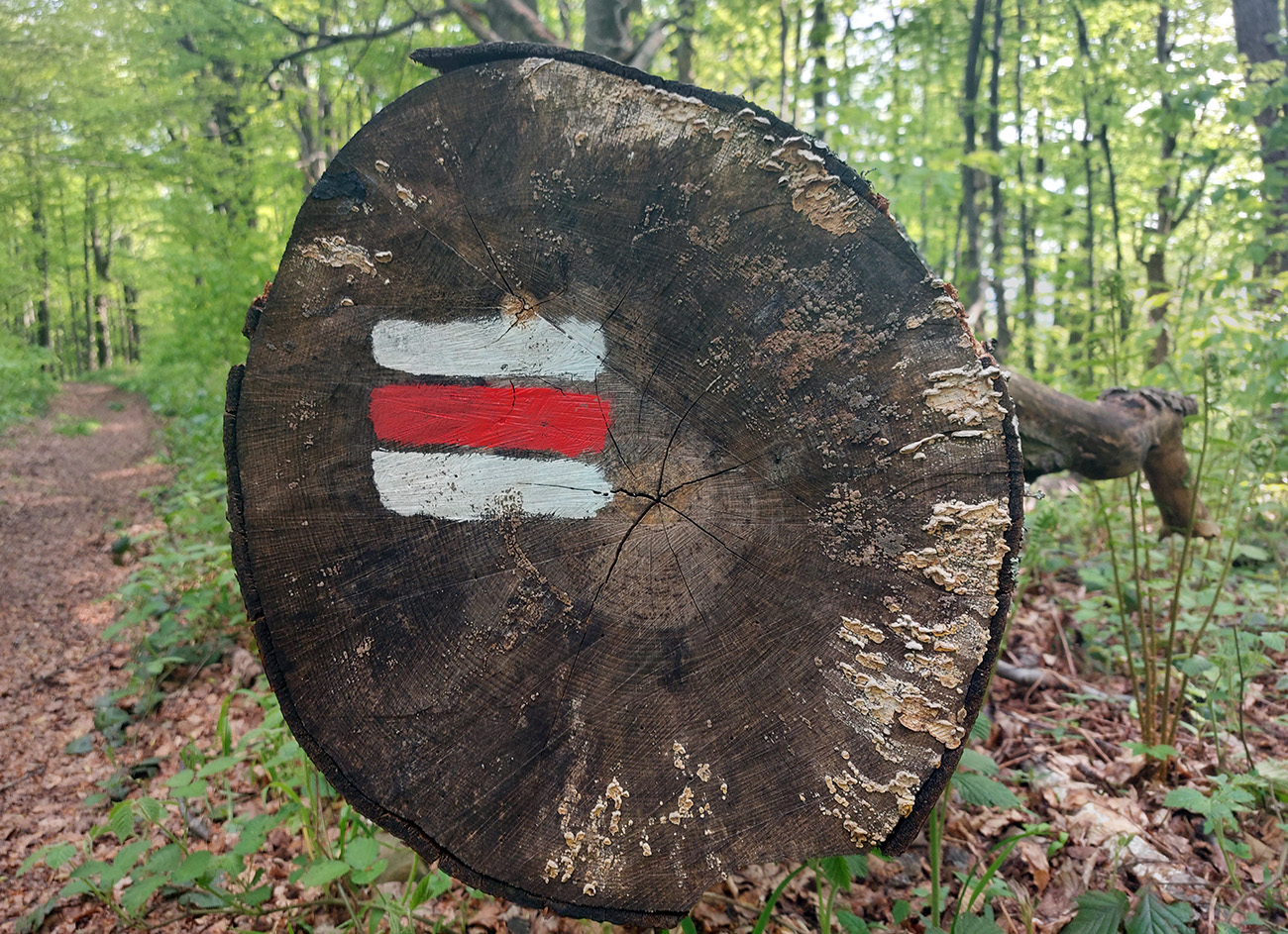 vychodokarpatska-magistrala-255-km-nonstop