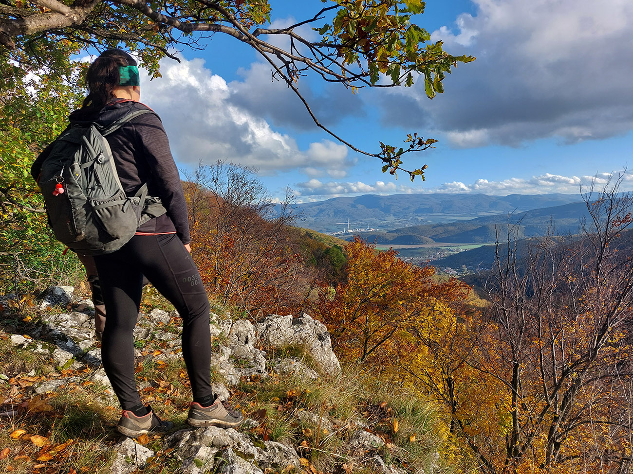 farebne-jesenne-ro-z-kose