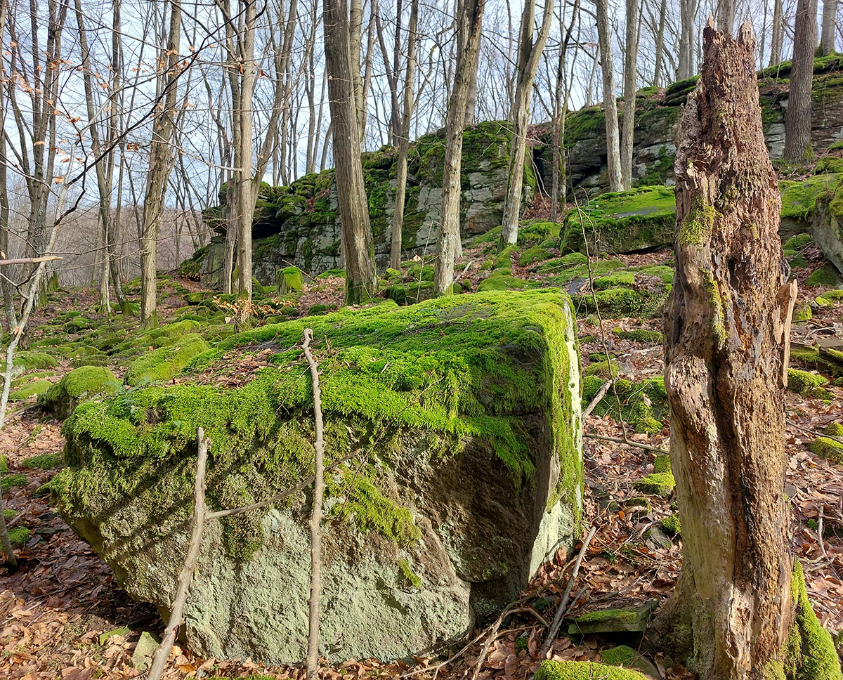 zo-l�tiavnice-do-breznice