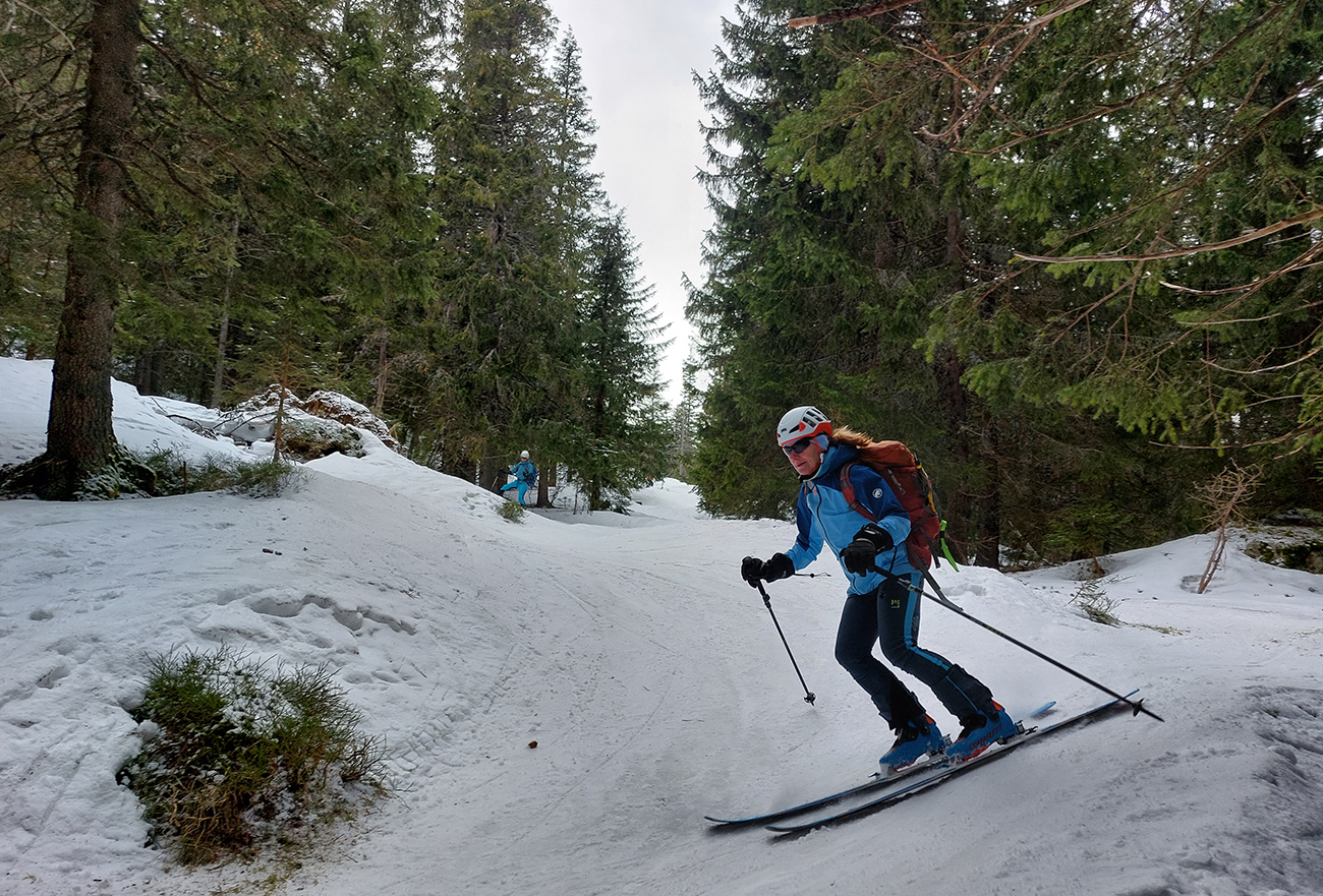 Húpačky ľadové, každý si ich užil ako vedel. Húpačky_ľadové,_každý_si_ich_užil_ako_vedel.