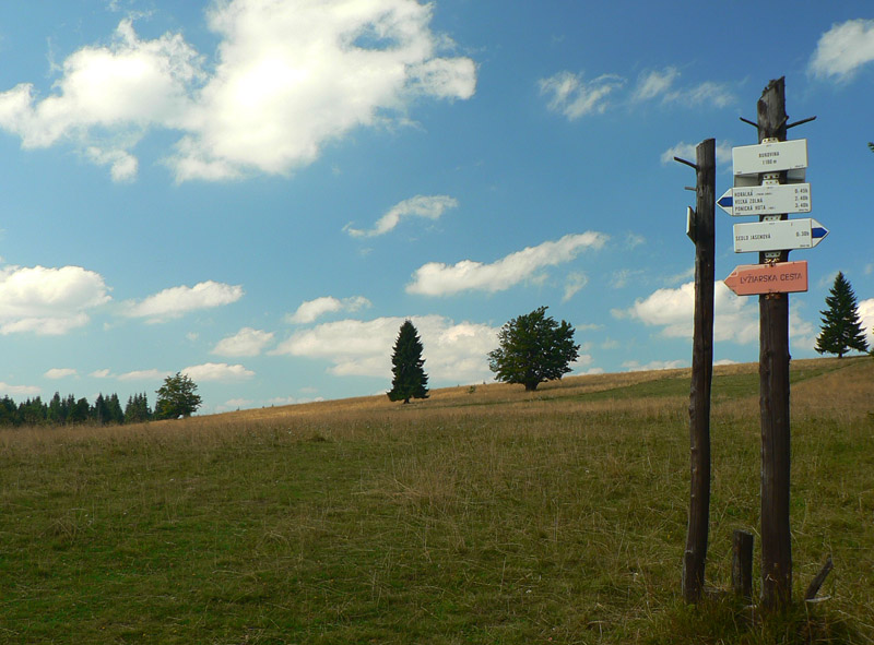 okolo-polany-po-vlastnych