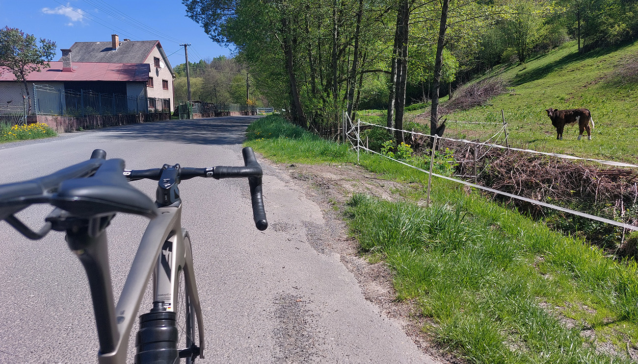 V takmer nulovom sklone popri potoku... V_takmer_nulovom_sklone_popri_potoku...