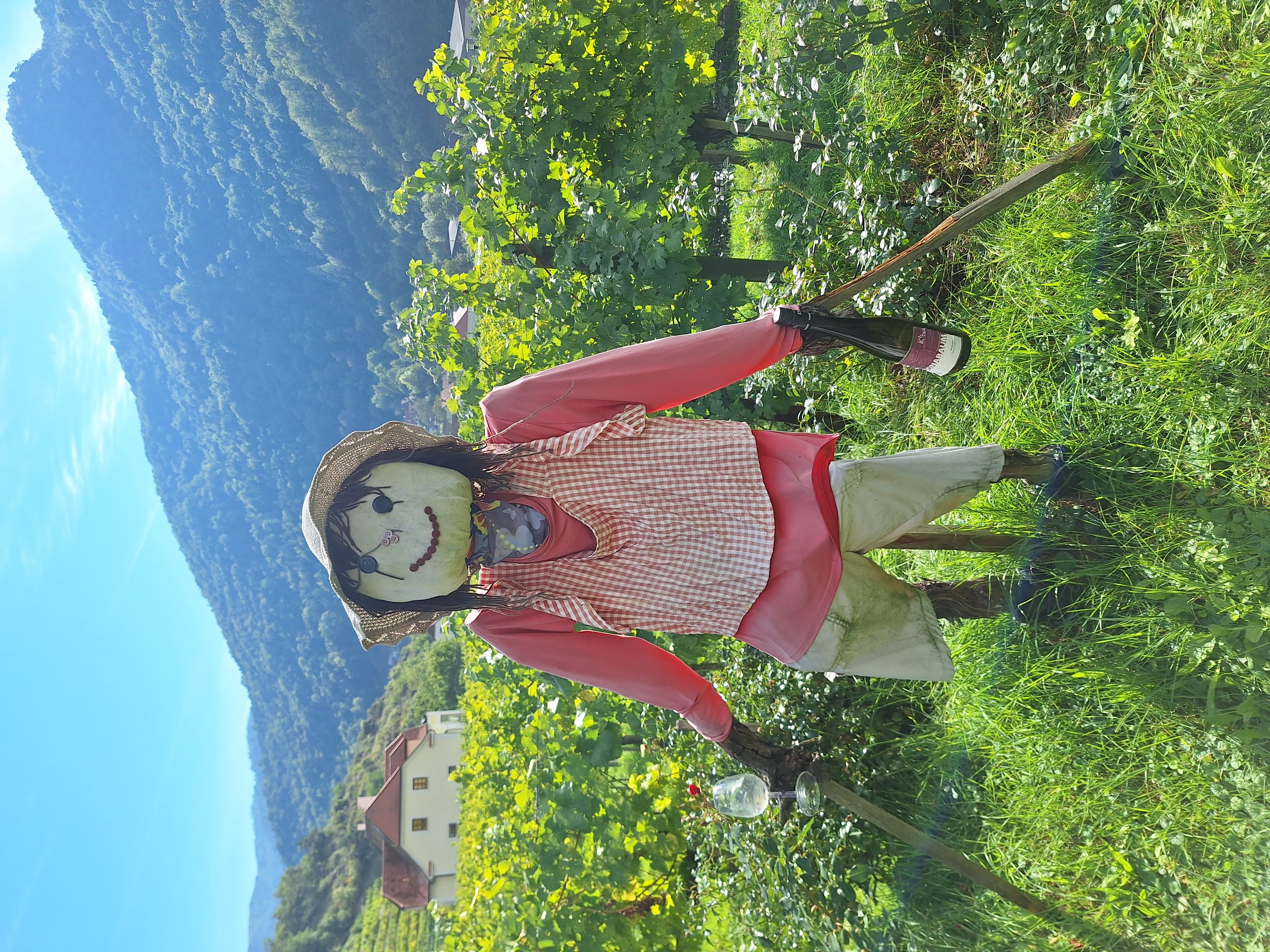 wachau-ultratrail-–-na-skok-zo-slovenska