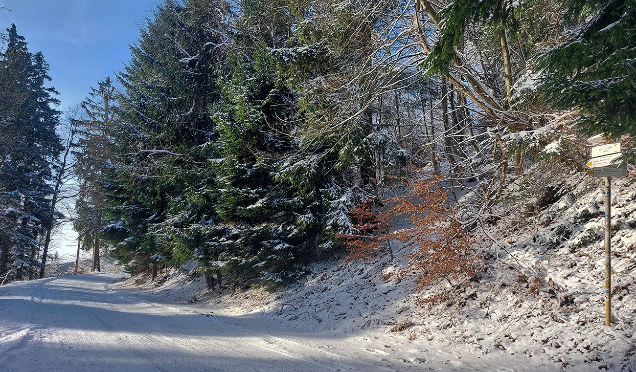 Pod Kalužnou rovno, tvrdo, súvislo bielo na asfaltke. Pod_Kalužnou_rovno,_tvrdo,_súvislo_bielo_na_asfaltke.