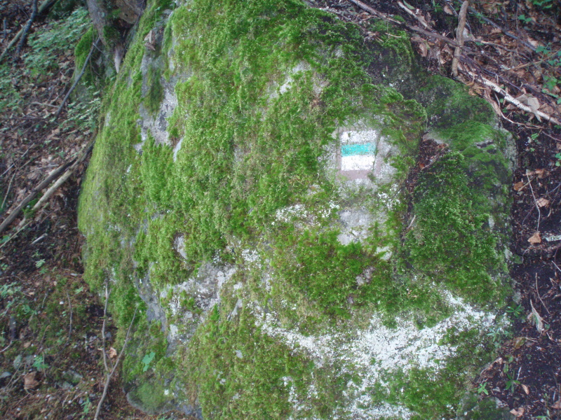 suciansky-hrad-tip-na-horuce-letne-dni