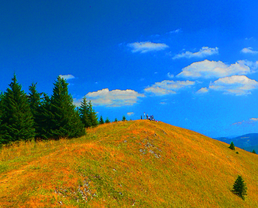 lysec-velkofatransky-napriklad-